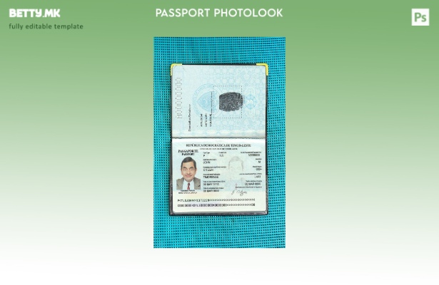 Модерен стил Шаблон за изглед на слика за пасош на Тимор источниот дел